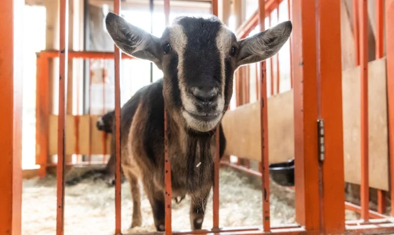 Expulsa pela própria filha: O segredo que mudou tudo