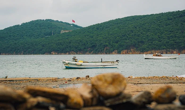 Férias Quebradas: O Verão em Que a Minha Família se Desfez