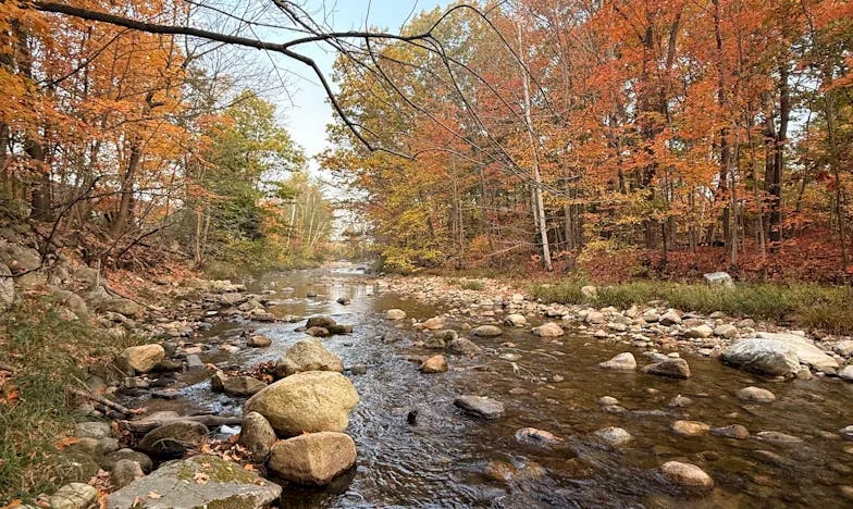 Fingimos Não Estar em Casa – Quando Ser Avô Deixa de Ser Alegria
