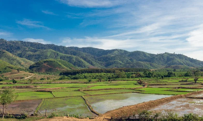 Mentiras ao Amanhecer: O Silêncio Entre Nós