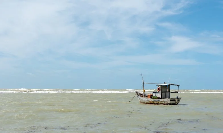 Metade da Casa Para o Meio-Irmão: A Decisão do Meu Pai Que Mudou Tudo