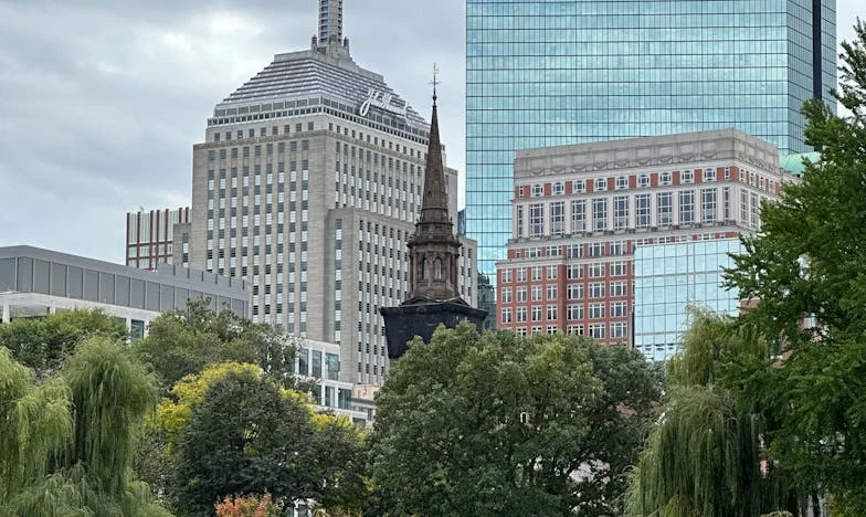 Nunca Mais Vou Permitir Que Me Magoe: O Drama de Uma Nora e Uma Sogra Portuguesa