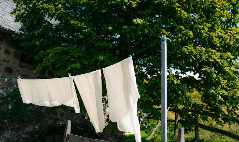 O Dia em que Levei a Minha Mãe ao Lar: O Olhar Dela Ficou Gravado em Mim