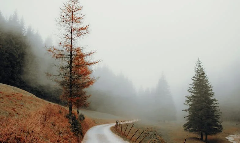 O Dia em que o Meu Mundo Ruiu: Entre o Amor de Mãe e o Amor de Esposa