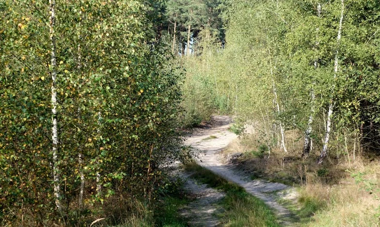 O Meu Filho Não Vai Ser Escravo de Casa: Um Drama Familiar Português