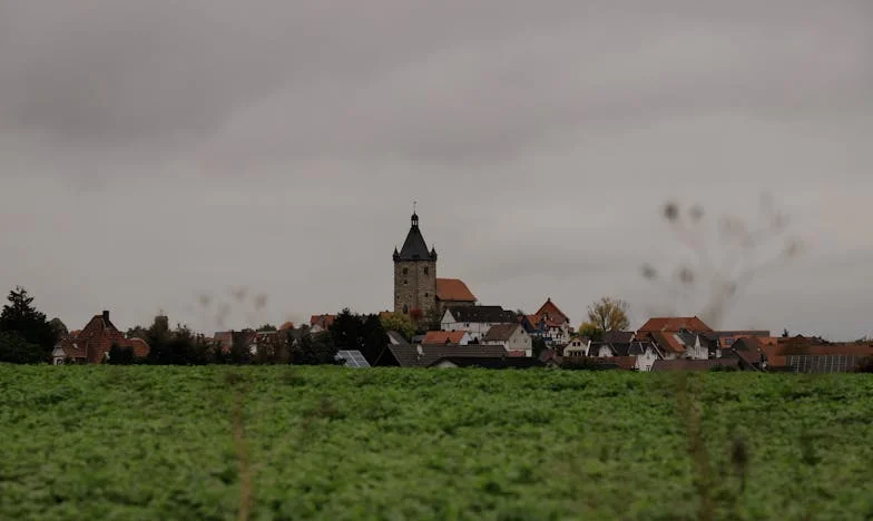 O Passado dos Outros, a Minha Ferida: Uma História de Perdão Inesperado