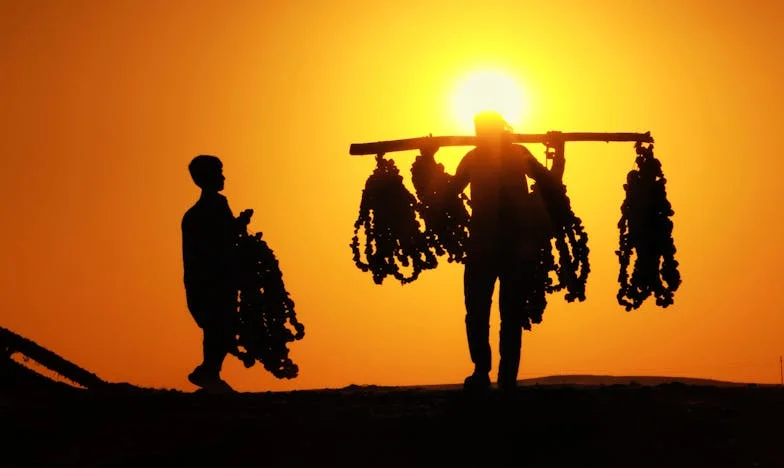 O Peso do Tempo: Uma Mãe Portuguesa Contra Todas as Probabilidades