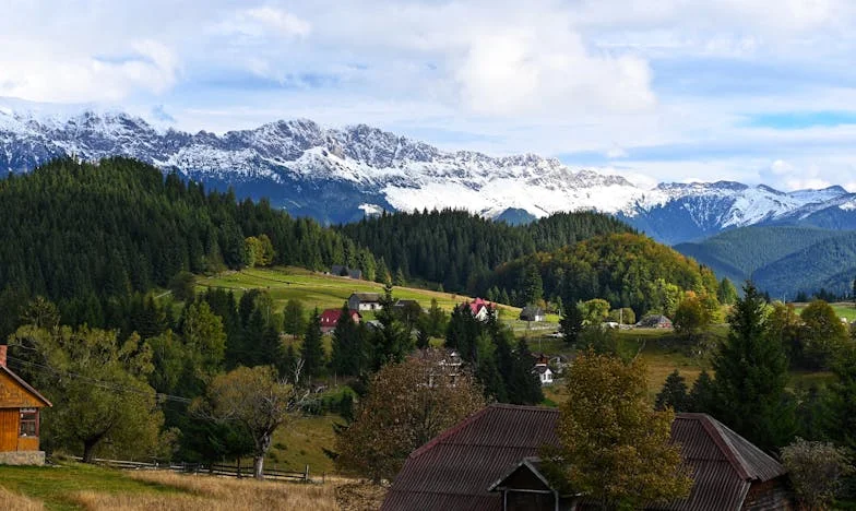 O Telefone da Sara e o Segredo do Miguel: Quando a Verdade Dói Mais Que a Mentira