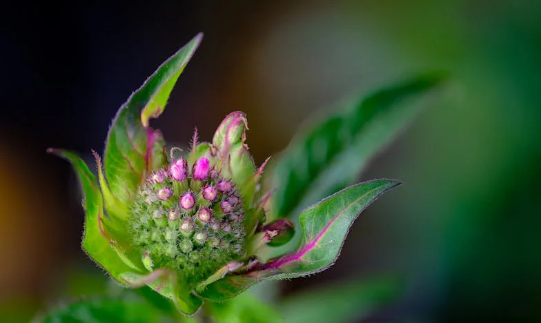 Quando a Casa Deixa de Ser Lar: Uma História de Perda, Traição e Recomeço