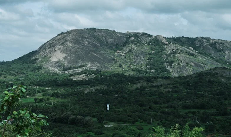 Quando a Minha Mãe Decidiu Voltar Para Casa: Entre o Passado e o Presente