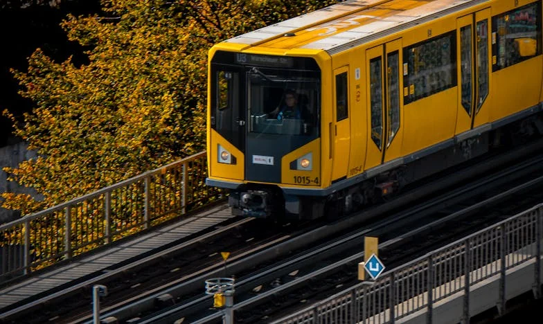 Quando a Minha Prima se Mudou: Entre Segredos, Conflitos e o Preço da Família