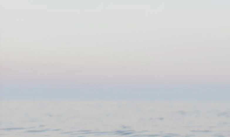 Quando a Verdade Mora ao Lado: O Dia em que a Minha Vida Mudou