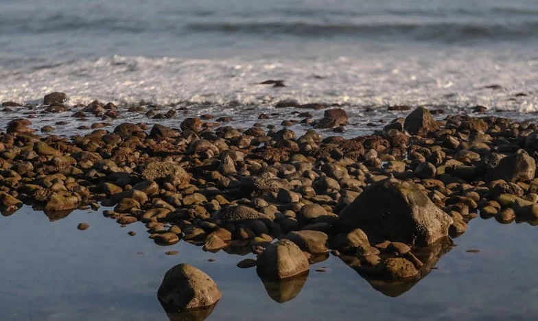 Quando o Adeus Chega Sem Aviso: A História de Inês e os Segredos de um Lar Desfeito