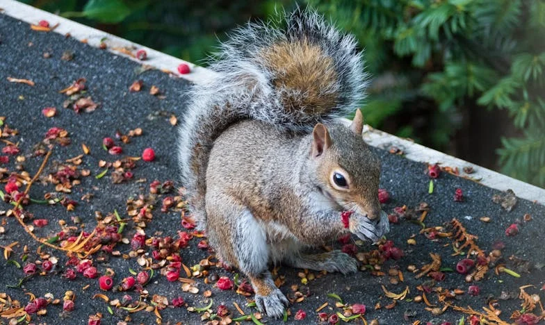 Quando o Divórcio Não Bastou: Entre a Mãe, o Filho e o Passado