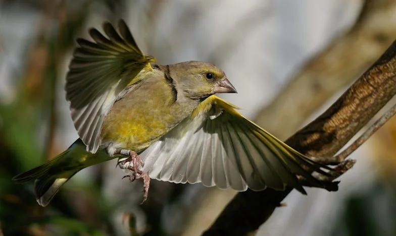 Quando os Meus Pais Vieram Viver Connosco: O Coração de Uma Mãe em Conflito