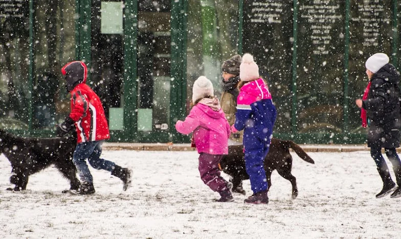 Segunda Oportunidade: Quando Uma Mentira Muda Tudo