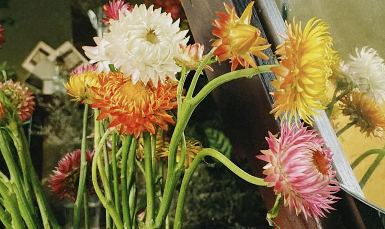 “Tens de sair de casa!”: O dia em que expulsei os meus pais do lar onde cresci