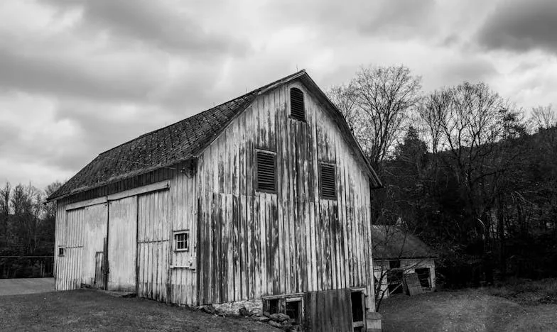 Tive o direito de afastar os meus filhos do avô? A minha luta pela segurança dos meus filhos depois da morte da minha mulher
