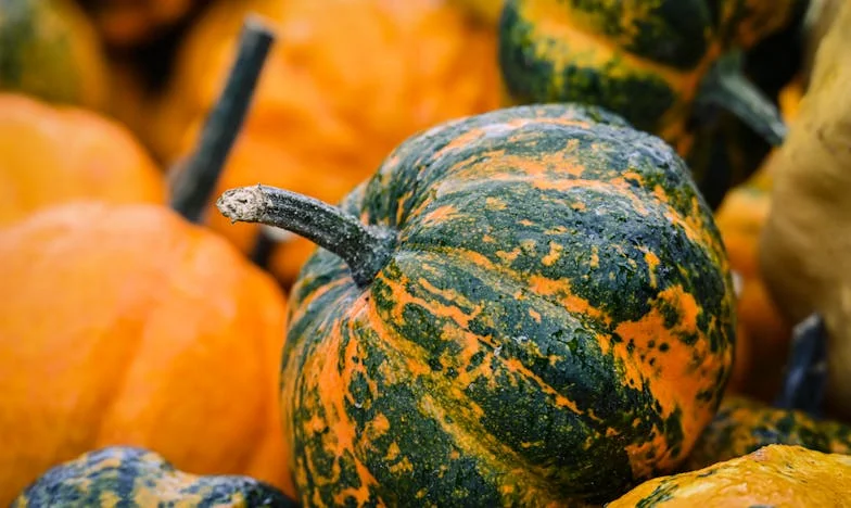 "Um neto basta para mim!": A minha luta entre amor, família e limites