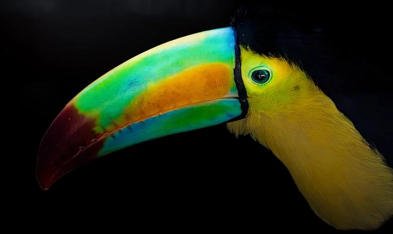 A Batalha por Leonor e Filipe: O Meu Mundo Depois do Divórcio