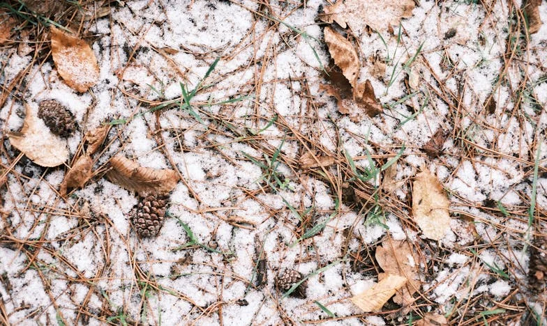 A Confissão Que Mudou Tudo: Trinta Anos de Mentiras e o Recomeço de Maria