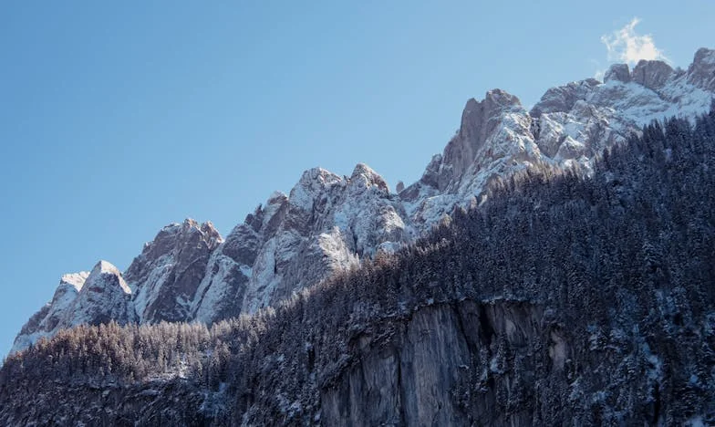 A Sombra da Minha Sogra: Entre o Amor e o Limite