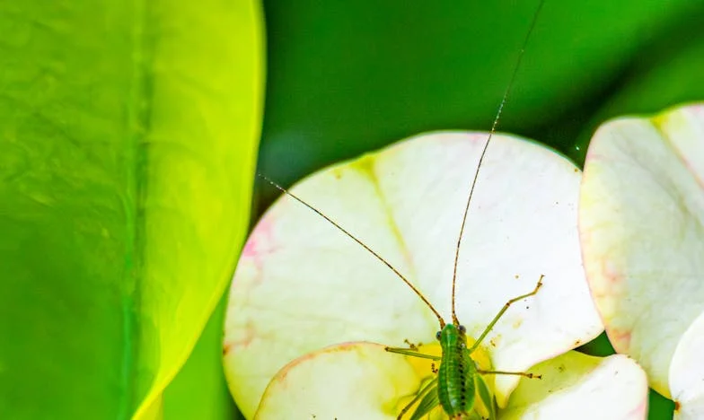 A Verdade à Mesa Vazia: O Meu Desabafo Que Dividiu a Família