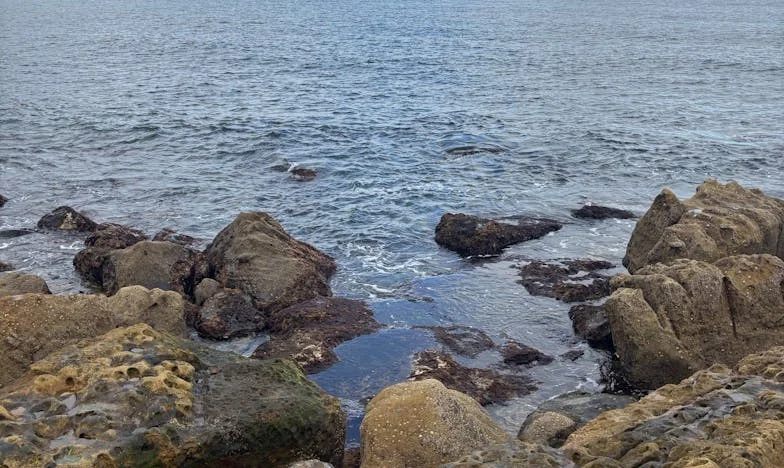 Correntes Invisíveis: O Dia em Que a Minha Família se Quebrou