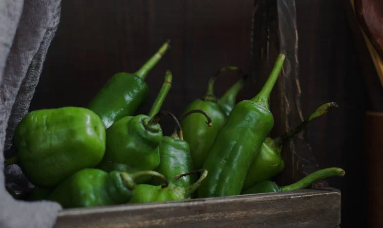"Dá o apartamento ao teu irmão, afinal são família!" – a história que rasgou o meu coração e a minha família