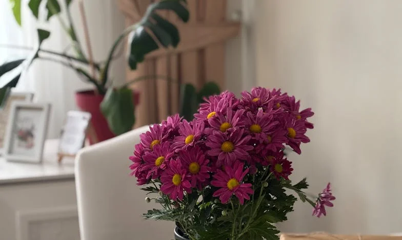 Dois anos depois do casamento com um homem divorciado: Será que o nosso amor sobrevive quando a filha dele entra nas nossas vidas?