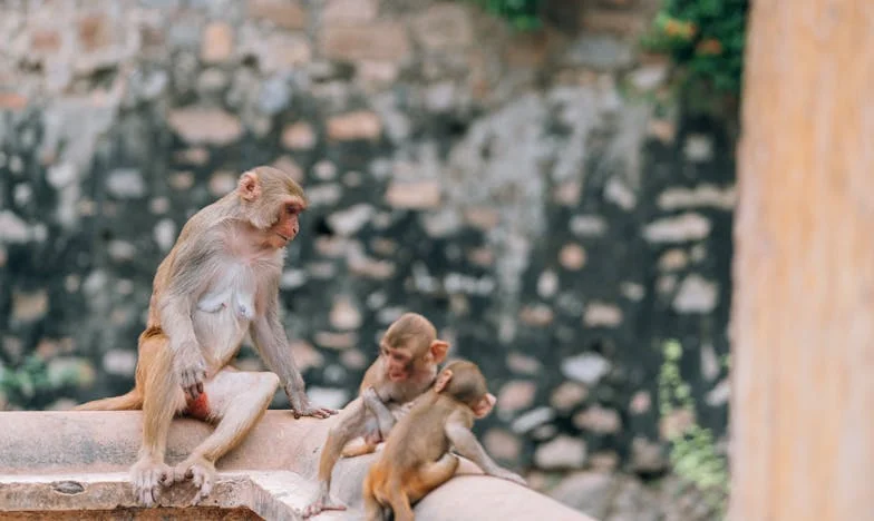 Domingo de Ruptura: O Segredo Que Despedaçou a Minha Família