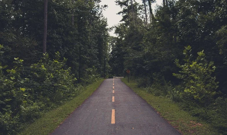 Ele Não Era Meu Filho, Mas Mudou a Minha Vida