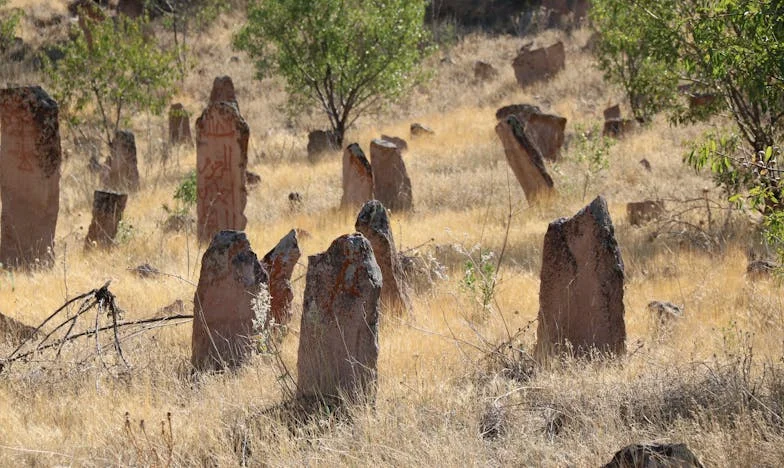 Entre Dois Mundos: O Coração de Uma Mãe Quando a Família se Desfaz
