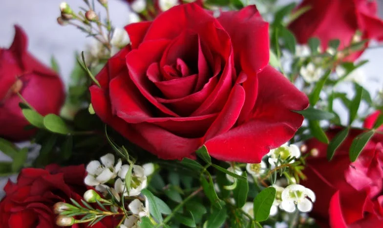 Entre o Silêncio e o Grito: O Dia em que o Meu Filho me Virou as Costas