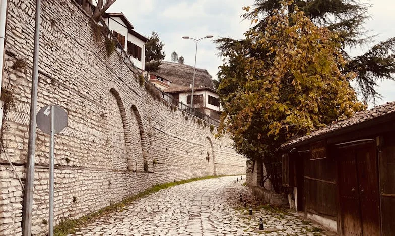 Expulsa da Minha Própria Vida: "Não És Mãe, És Uma Maldição" – A Minha Queda e Luta pelo Meu Filho