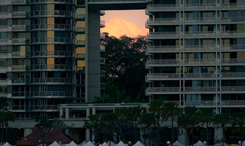 “Faz as malas e vem já!” – Como a minha sogra tomou conta da nossa vida