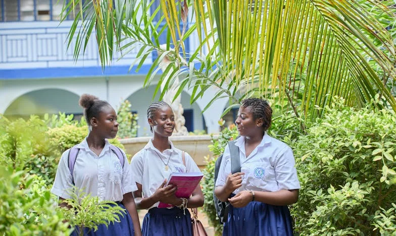 Jantares Que Mudaram Tudo: Entre o Meu Filho, a Nora e as Velhas Tradições