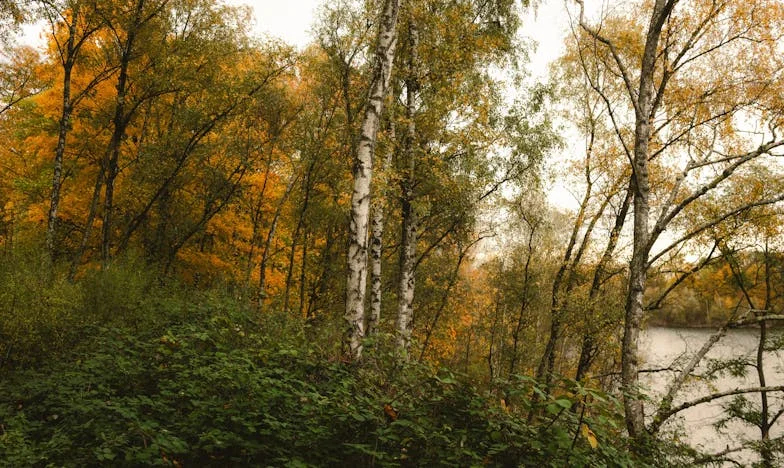 “Não, a tua mãe não vem morar connosco!” – A luta de uma mulher portuguesa pelo seu lar e dignidade