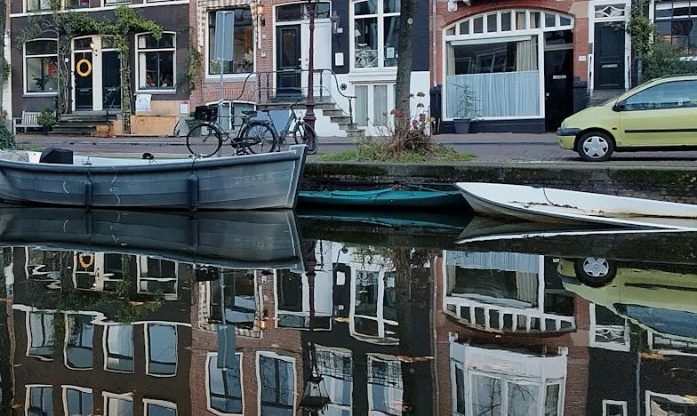 “Não vês que a tua mãe não gosta do nosso filho?”: Anos de Comparações até ao Limite