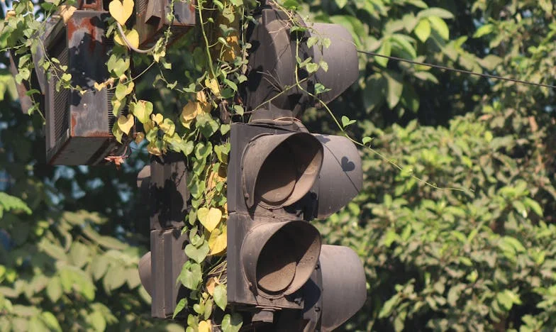 O Anel de Ouro e o Presente Amargo: A História da Família Almeida