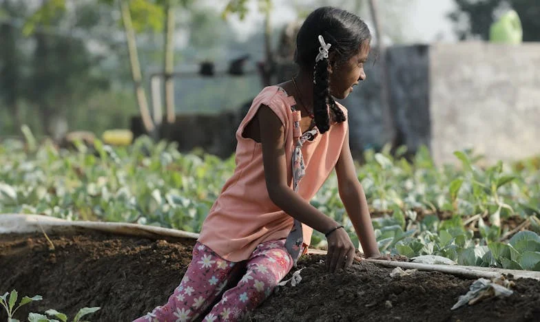 O Dia em Que Tudo Mudou: Um Drama Lisboeta