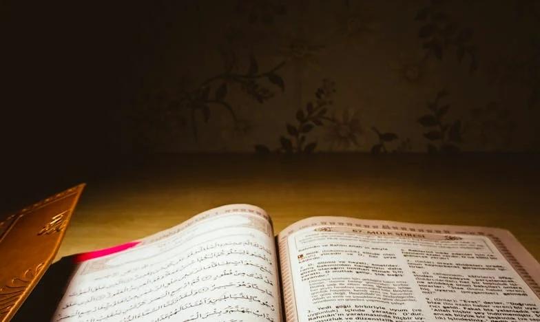 O Meu Aniversário Não É da Família – A Rebelião de Uma Mulher Portuguesa Contra as Expectativas Familiares