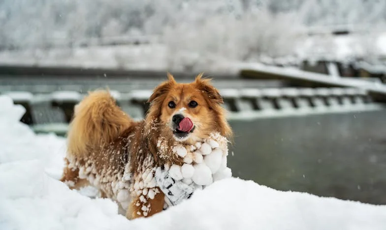 O Peso da Herança: Entre o Amor, o Medo e o Futuro do Meu Filho