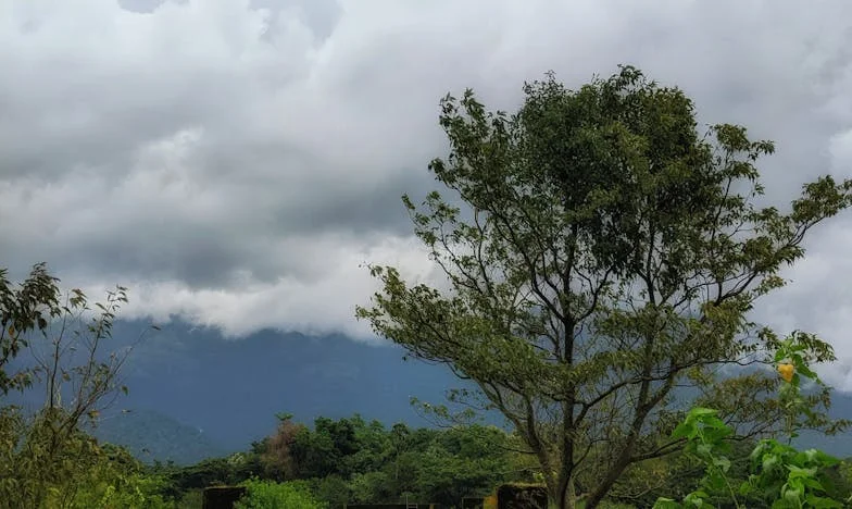 O que os nossos vizinhos pensavam: Uma história de amor, preconceito e um muro