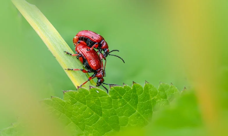 O Segredo de Miguel: Entre Dívidas e Promessas Quebradas