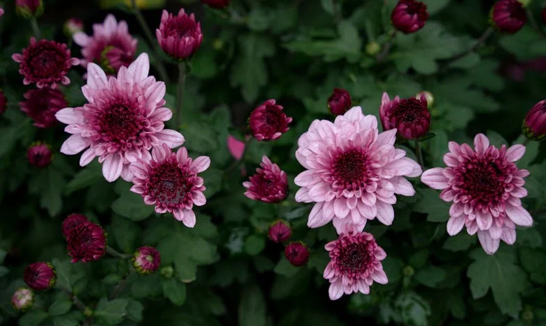 O Segredo do Meu Filho: Quanto Vale o Amor de uma Mãe?