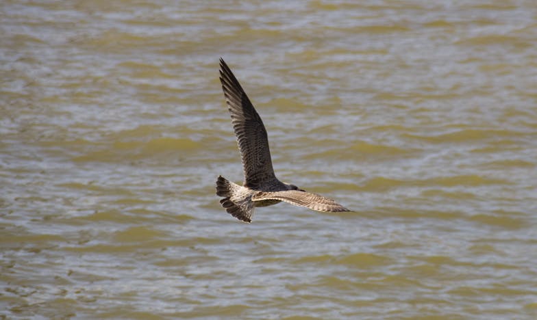 “Outra vez a dormir? Podias ao menos fazer o pequeno-almoço para o Tiago!” – O Último Dia do Meu Casamento em Portugal