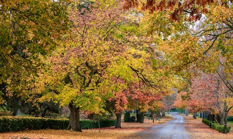 "Passa tudo para o meu nome! Por que acreditaste nela? Ela só te engana!" – A minha luta pela casa, pela minha filha e pela dignidade depois da traição do meu marido