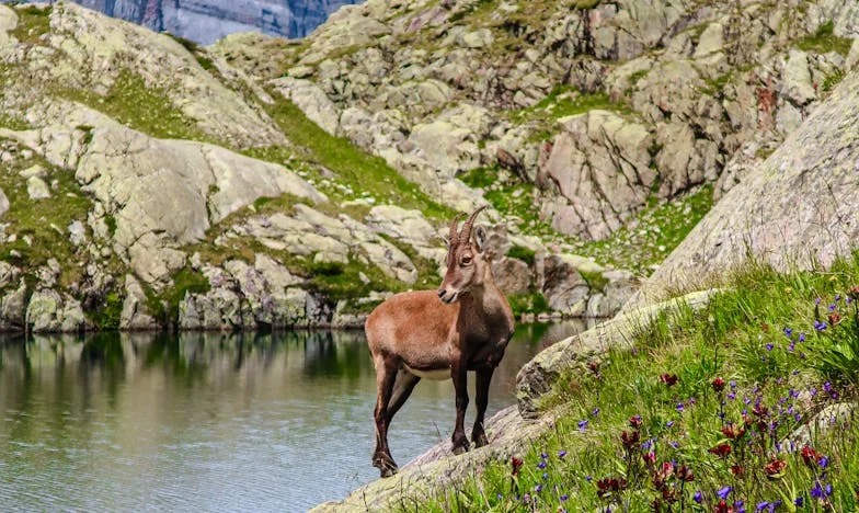 Quando a Família se Torna Prisão: O Dia em que Dissemos Basta