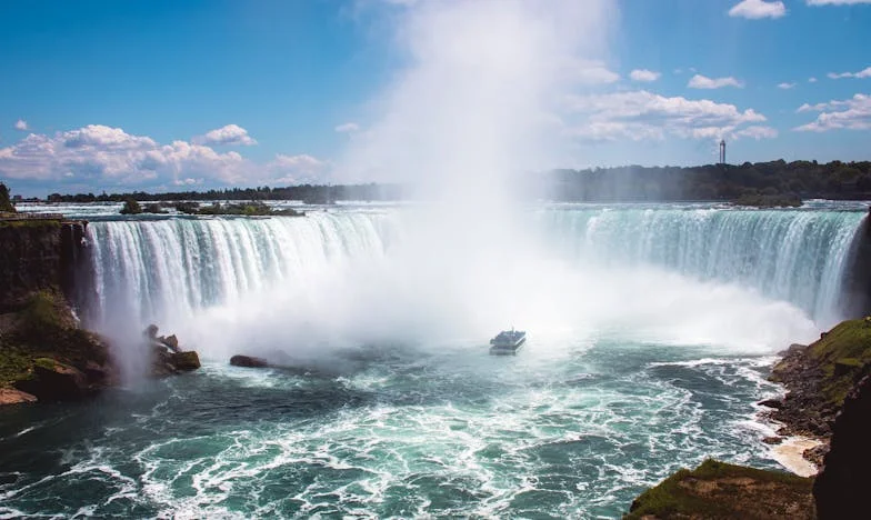 Quando a Família Vira as Costas: O Aniversário que Mudou Tudo